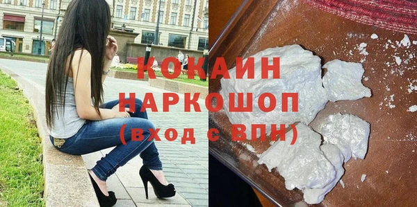 шишки Анива