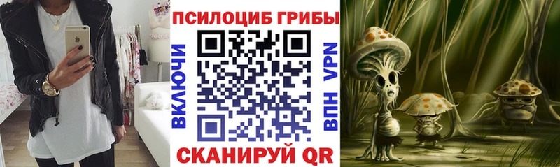 Псилоцибиновые грибы мухоморы  Камбарка 